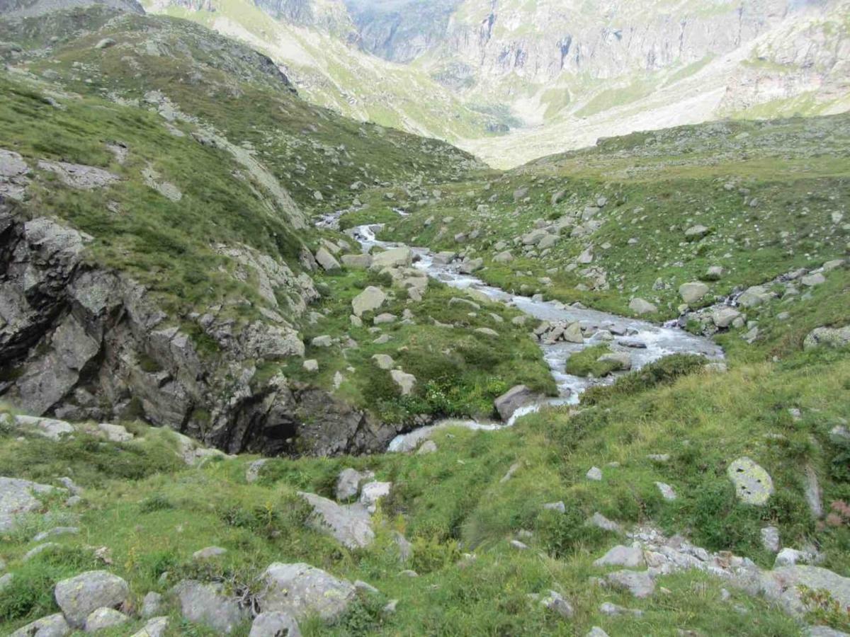 Bilocale A Due Passi Dal Gran Paradiso Locana Экстерьер фото